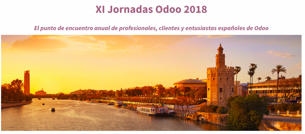 Odoo CMS - una imagen grande