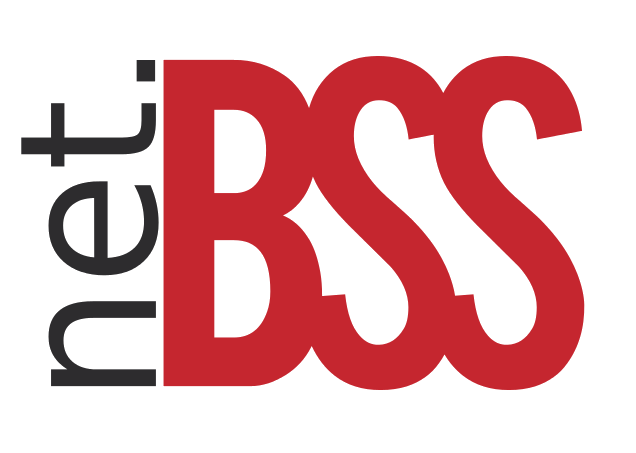 Netbss Soluciones Informáticas S.L.
